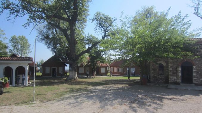 KATASKINOSEIS
